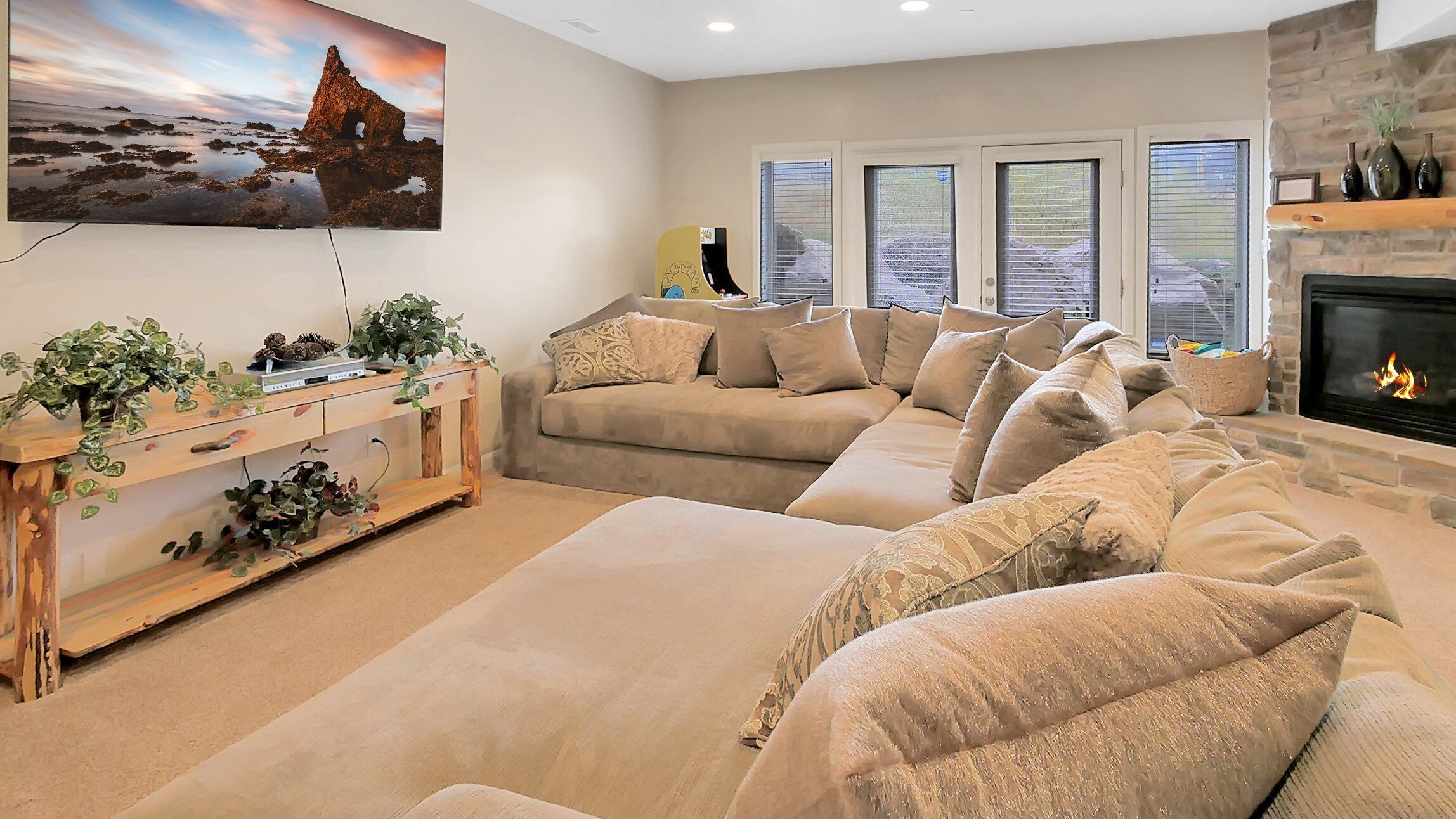 Smart TV, fireplace, books