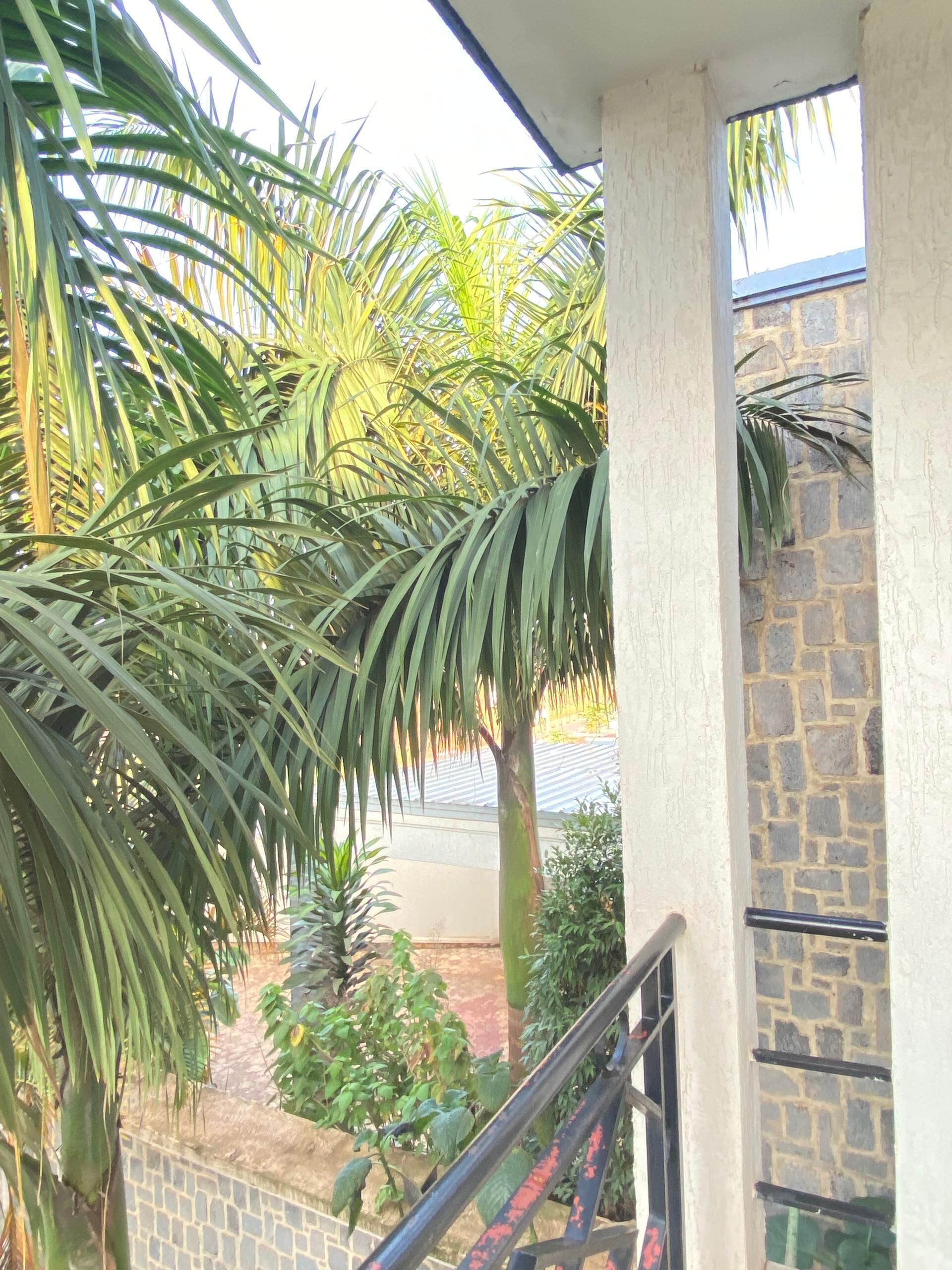 Outdoor banquet area