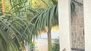 A view from a balcony with a stone wall, a palm tree, and a metal railing. - KIGALI QUEENS HOME AND APRTMENTS (Kigali)