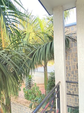 Área para eventos al aire libre