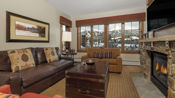 TV, fireplace, offices, computer monitors