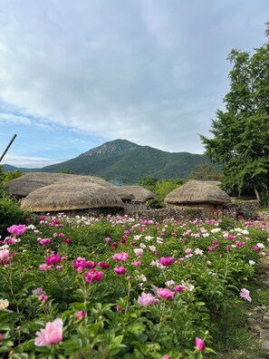 Exterior - Nakan-eupseong Fortress grasshomestay (Suncheon City)