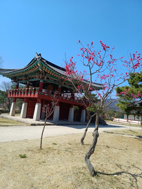 Exterior - Nakan-eupseong Fortress grasshomestay (Suncheon City)