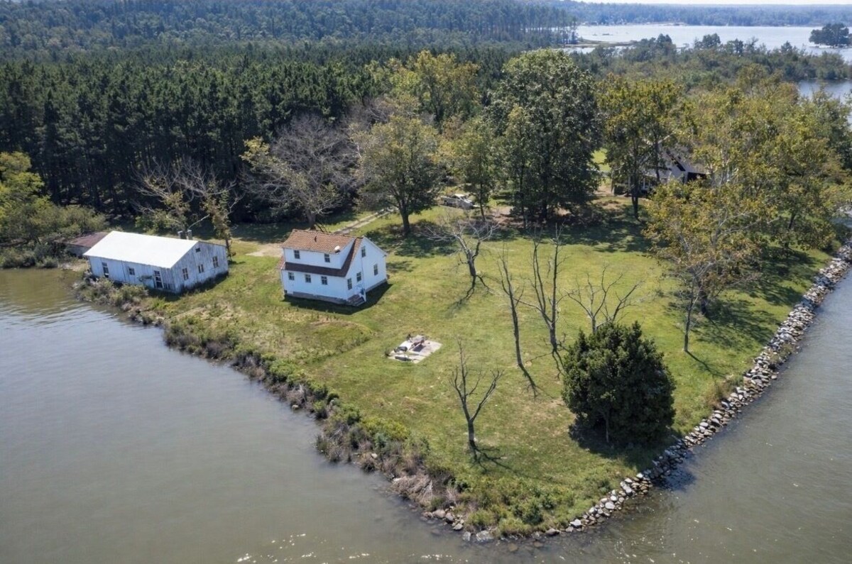 Imagen de perfil del propietario o de la propietaria