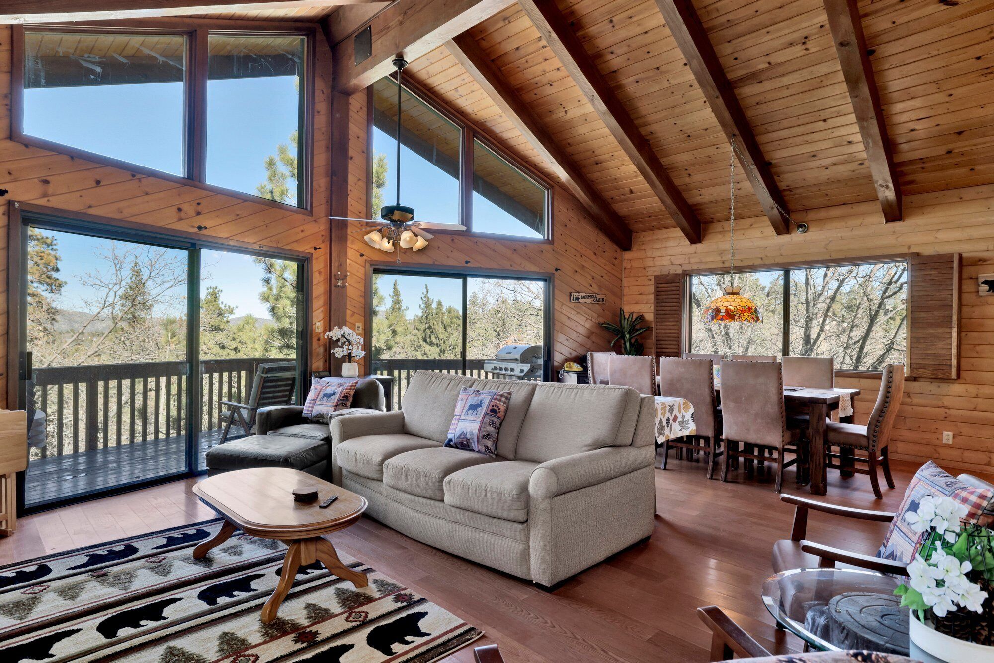 Smart TV, lareira, videogames