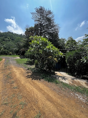 A dirt path leading to a covered structure amidst lush greenery and a clear sky. - Amazing Ocean view guest house, just next to a monkey trail (Guanacaste Province)