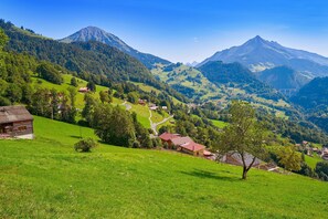 Miscellaneous - Hotel Relais Alpin Twin Room & Balcony 2, Les Mosses, Switzerland (Les Mosses)