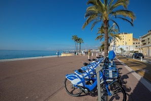 Une rangée de vélos bleus est stationnée le long d’une promenade côtière, avec des palmiers et des bâtiments en arrière-plan.