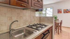 Uma cozinha com fogão a gás, pia de aço inoxidável e armários de madeira.