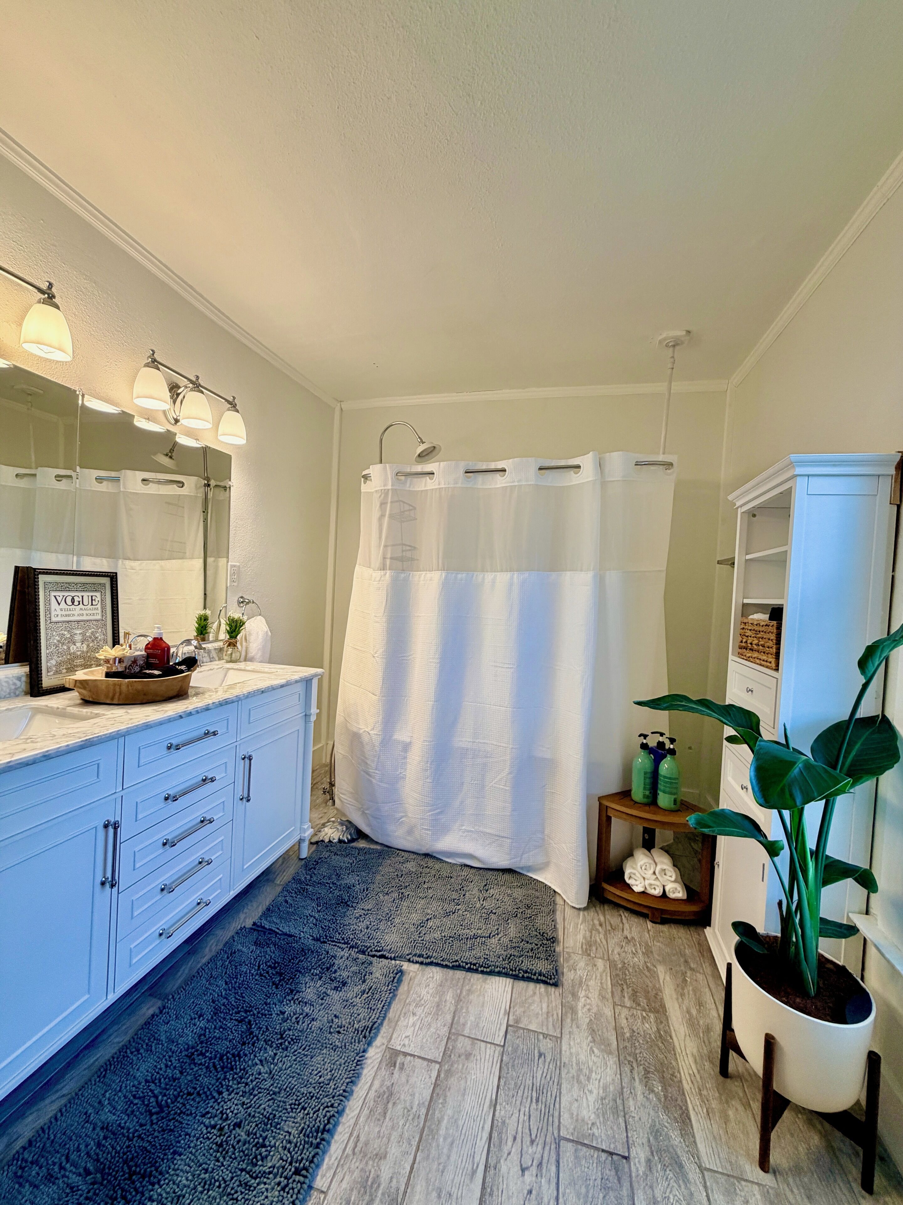 Un baño con tocador, cortina de ducha, espejo, lavabo y una planta en maceta.