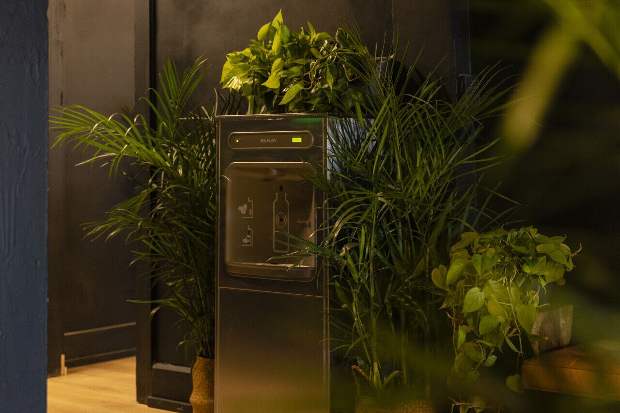A modern kitchen with a built-in refrigerator, surrounded by lush green plants.