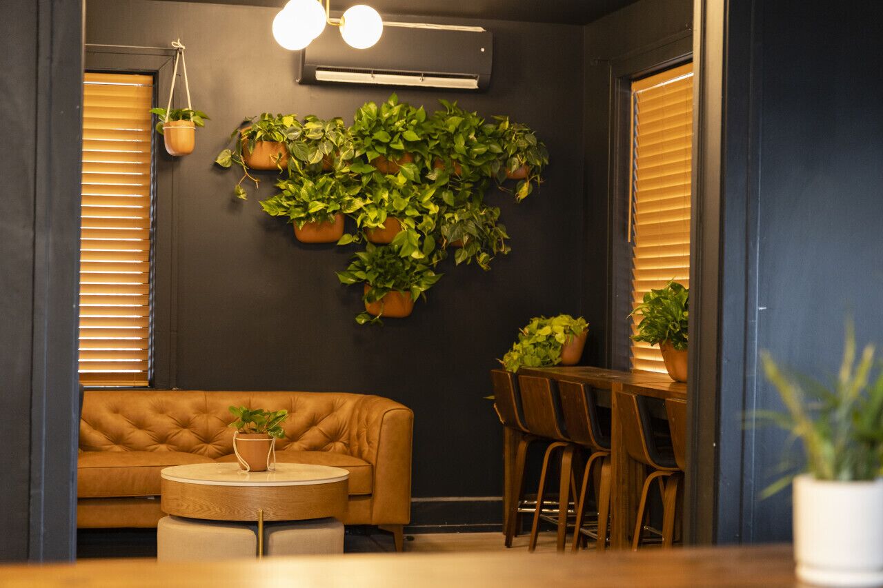A cozy room with a sofa, a round table, and chairs. There are potted plants on the wall and a hanging plant.