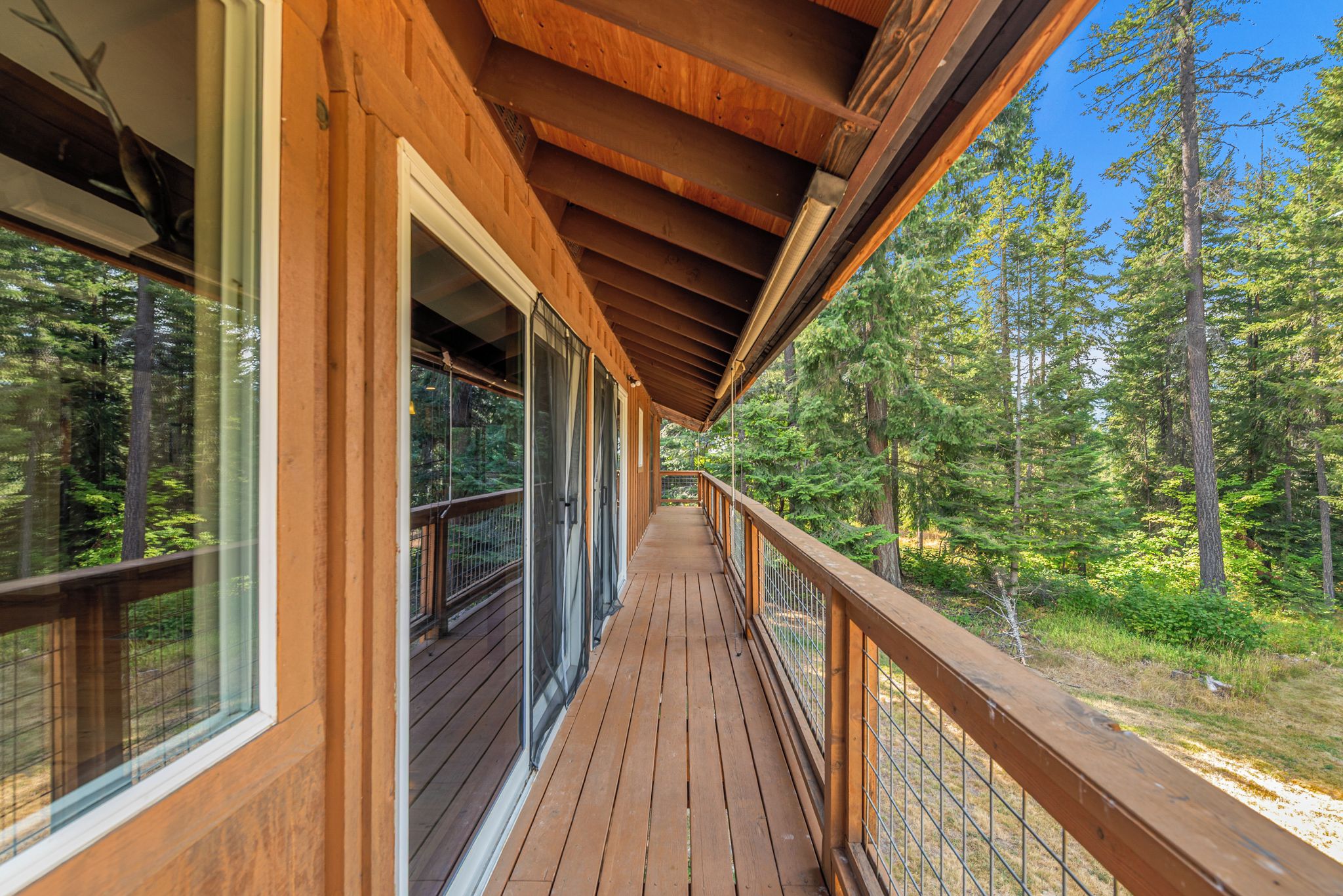 A wooden deck with a railing, surrounded by trees.