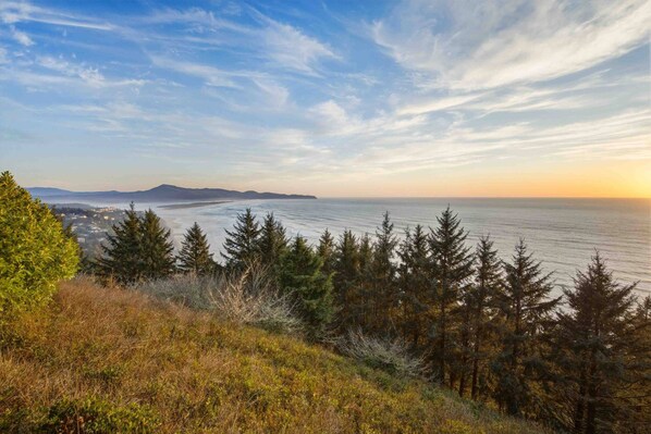 Un paysage côtier offrant une vue sur la mer, des arbres et une chaîne de montagnes lointaine.