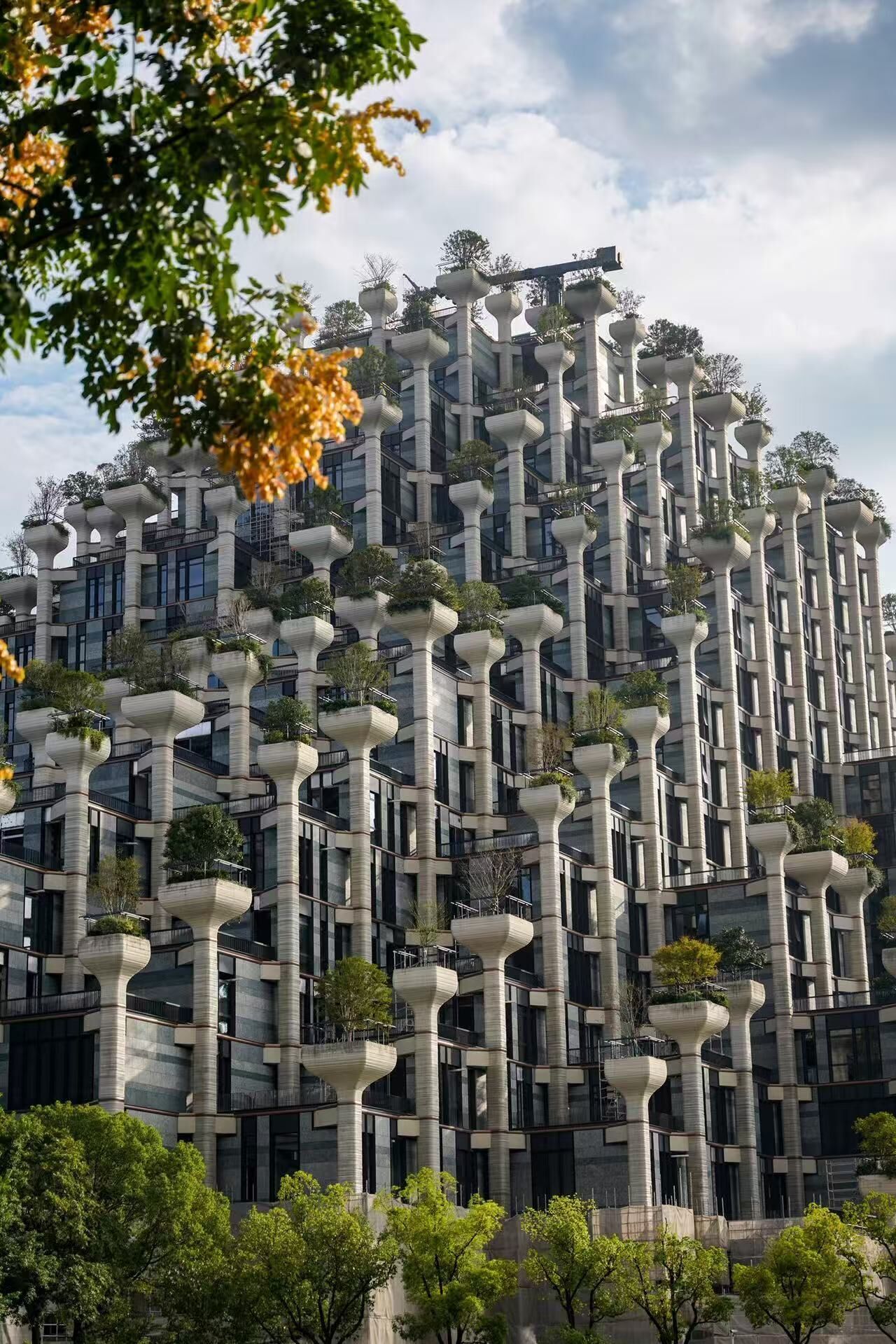 City view from property