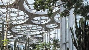 Ein Kaktusgarten mit Glasdach und einem Betonweg.