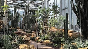 City view from property