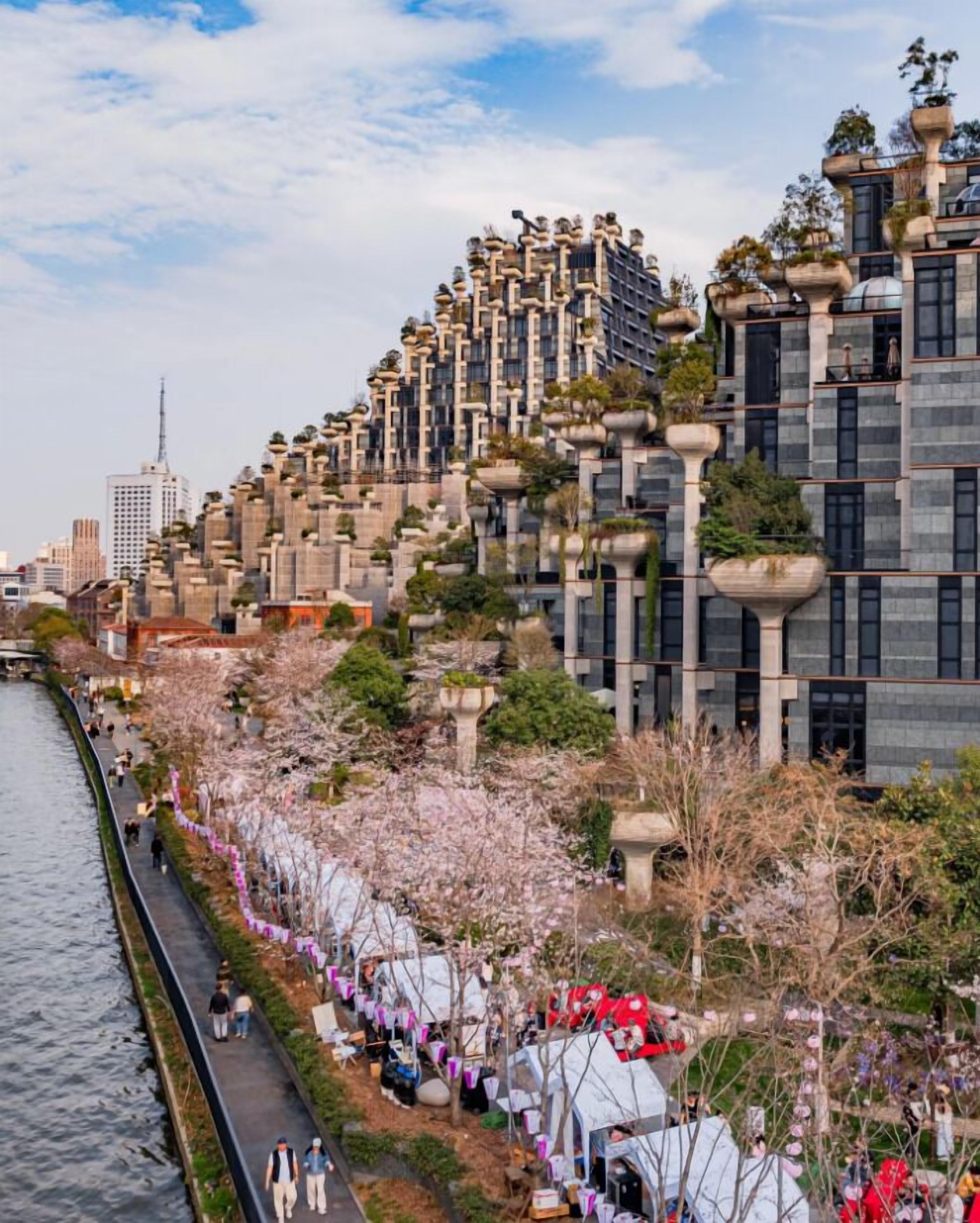 A riverside walkway with modern buildings, a clear sky, and cherry blossoms.