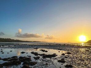 Fishing - 4 bedroom accommodation in Appin (Appin)