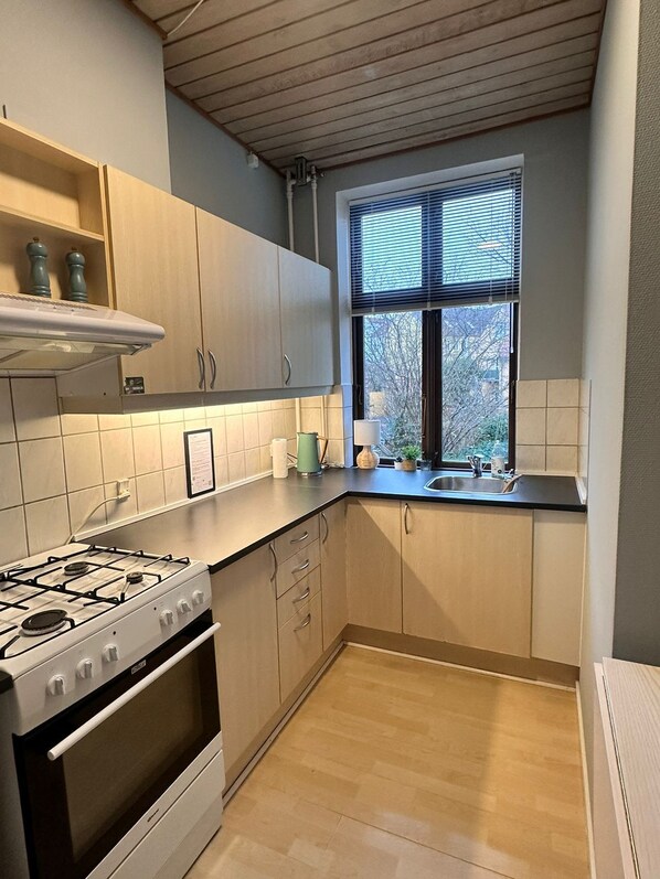 Laptop workspace, free WiFi - Greenbrook Blue Suites (Aalborg)