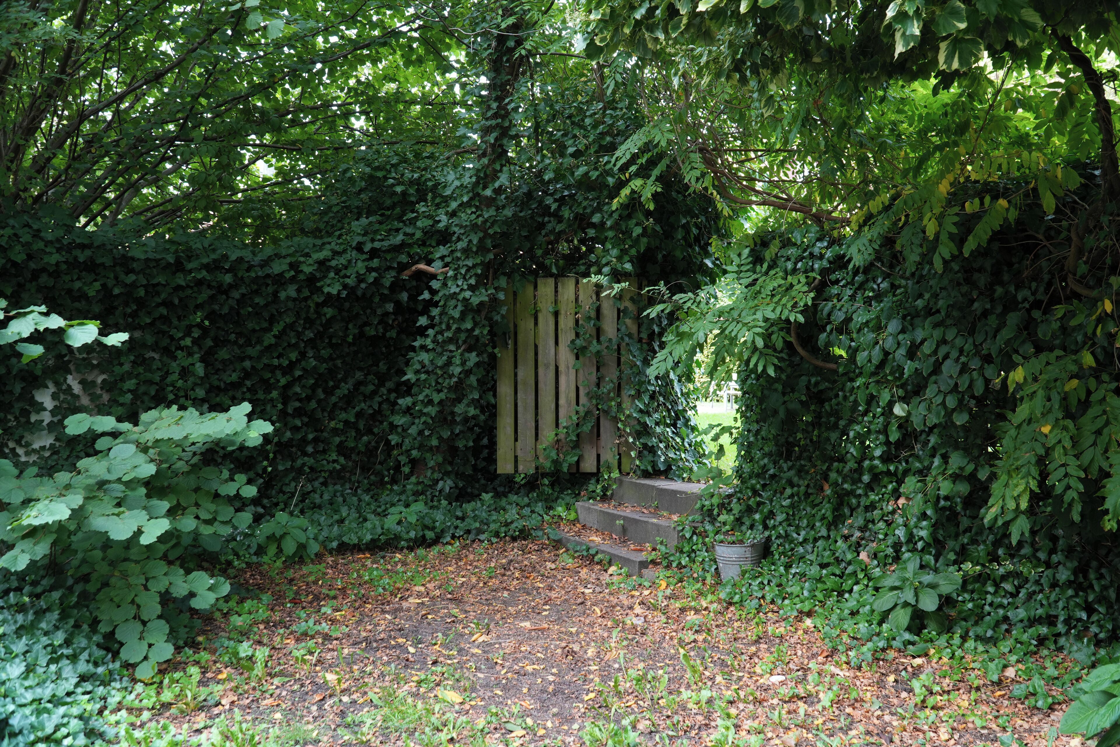 Deluxe Suite, 1 Bedroom, City View | Terrace/patio