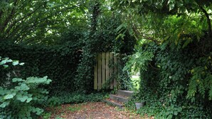 A garden with a wooden fence partially covered by ivy, surrounded by dense foliage. - Greenbrook Blue Suites (Aalborg)