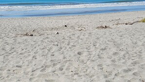 En strand med en bindingsværksbygning, sand og rolige have.