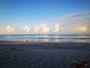 Een strand met een hond op de voorgrond, een persoon in de verte, en een heldere lucht met wolken.