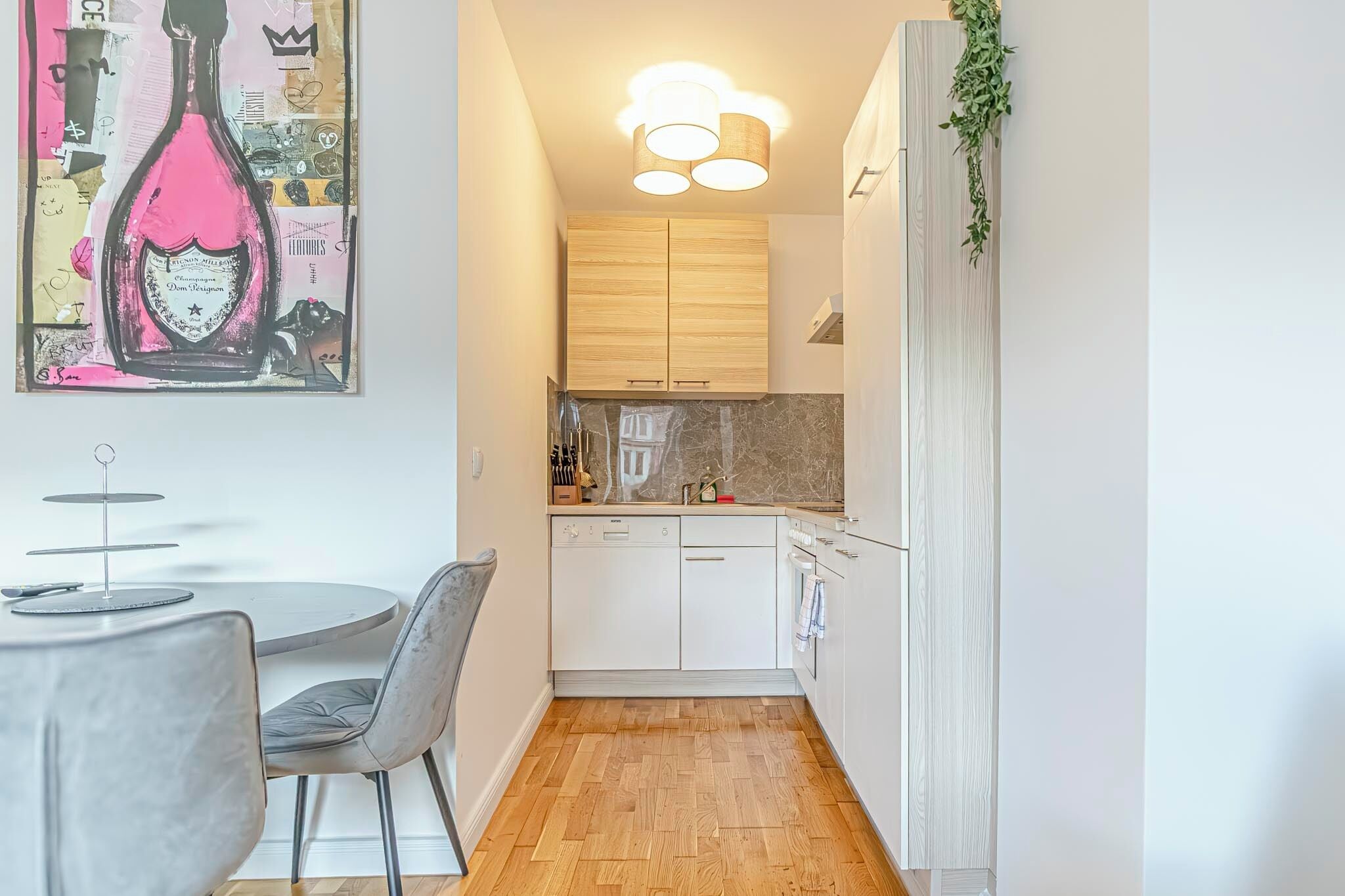 Basic Apartment | Private kitchen | Fridge, oven, stovetop, dishwasher