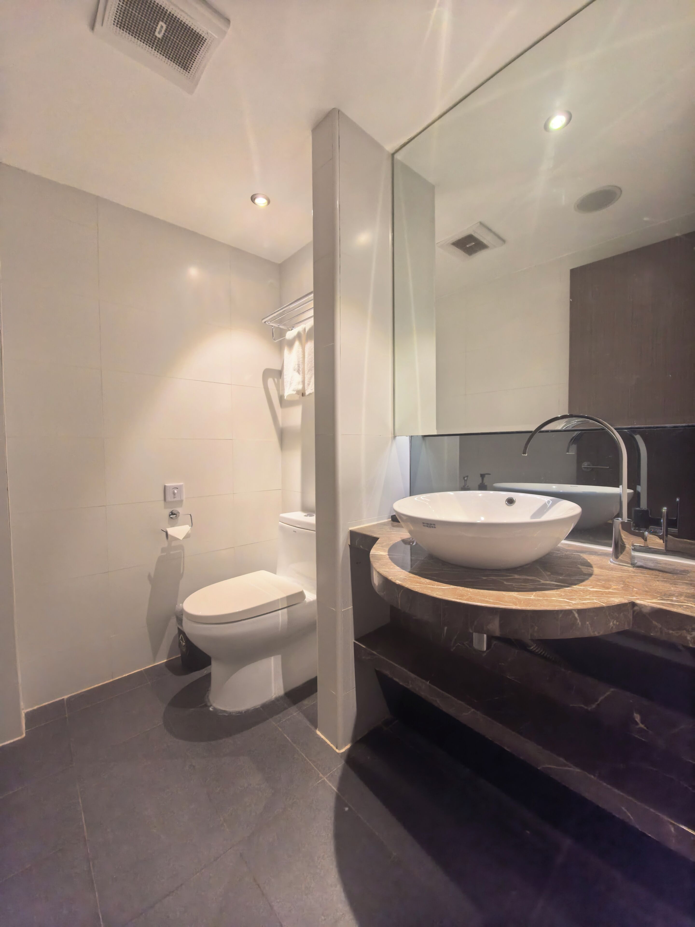 Une salle de bain moderne équipée de toilettes, d’un lavabo avec un grand bac et d’un miroir.