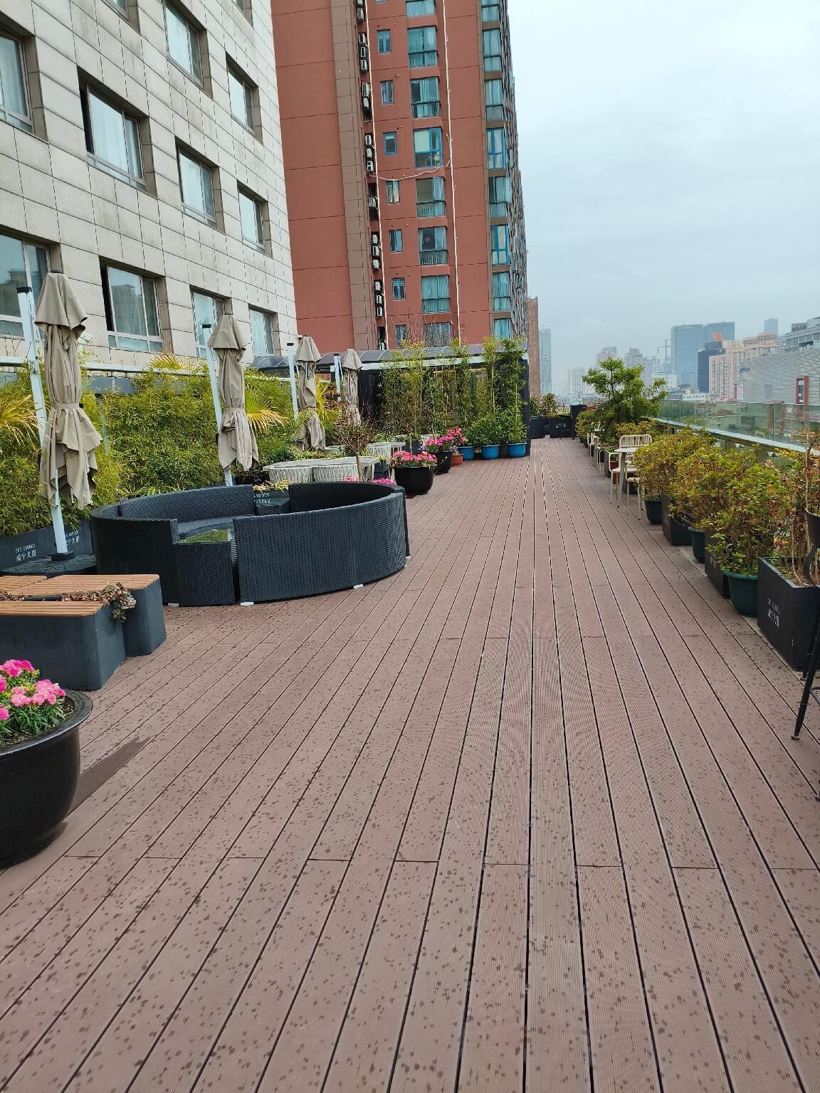 Una terraza en la azotea con piso de madera, mobiliario exterior, plantas en macetas y sombrillas.