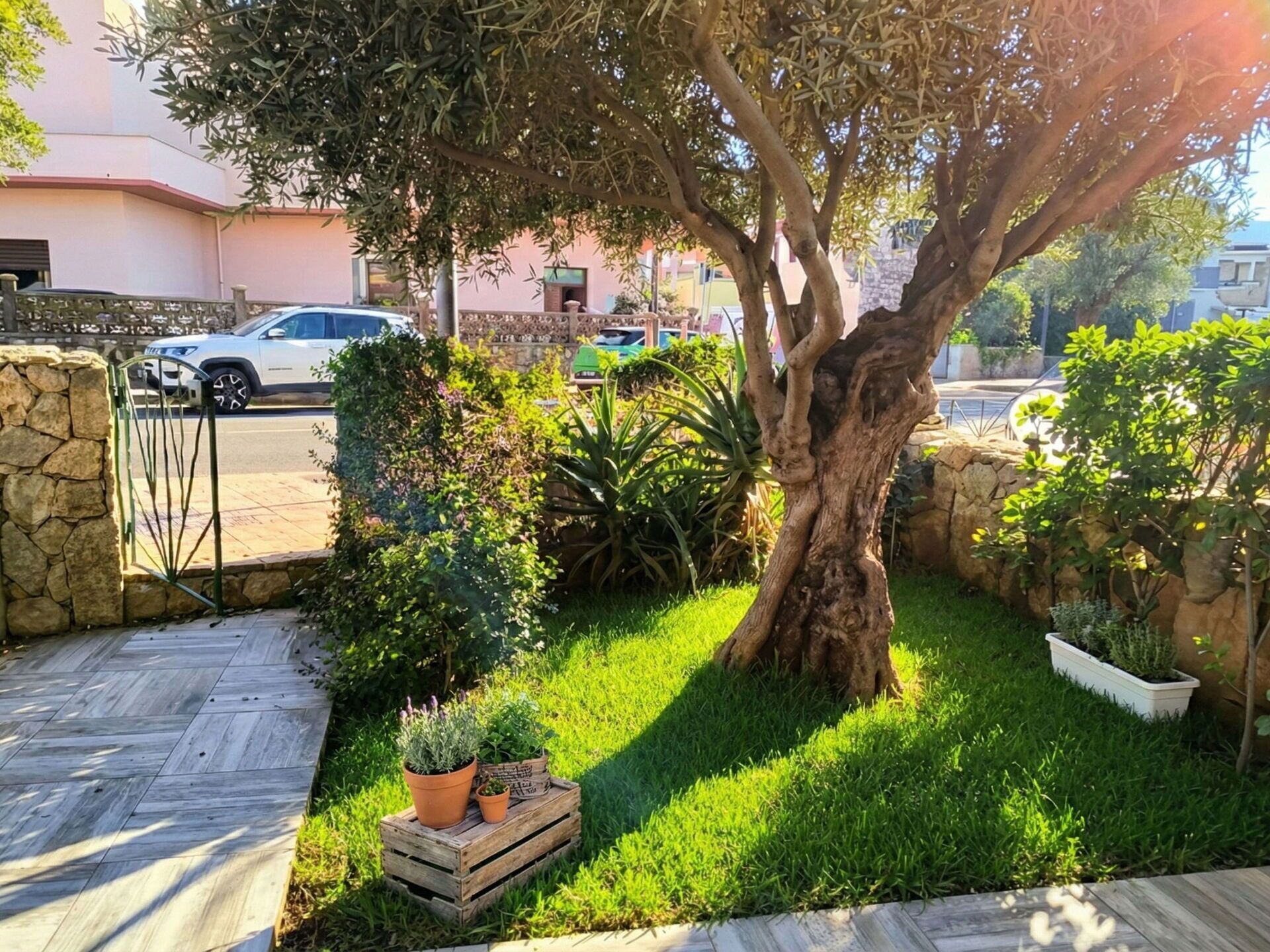 Un espace jardin agrémenté d’un grand arbre, de différentes plantes en pot et d’une terrasse en bois.
