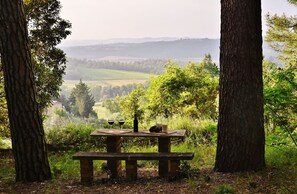 Speisen im Freien