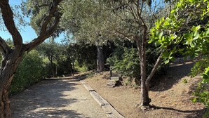 A gravel path leading to a wooden bench area surrounded by trees. - Dream villa with sea view and private pool in the gulf of Saint-Tropez (Grimaud)