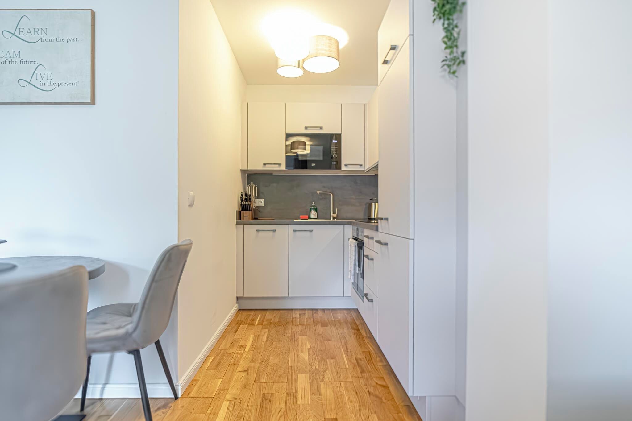 Basic Apartment | Private kitchen | Fridge, microwave, oven, stovetop