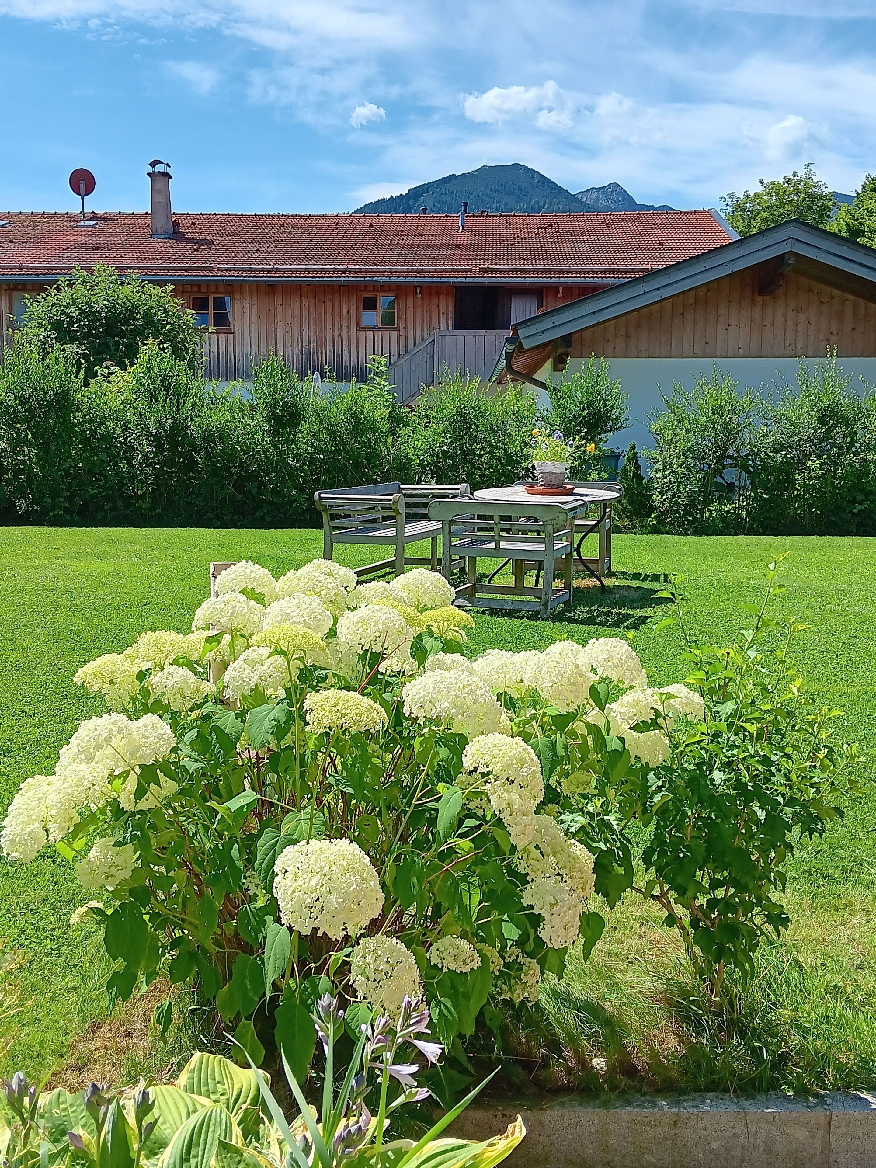 Blick in den Garten