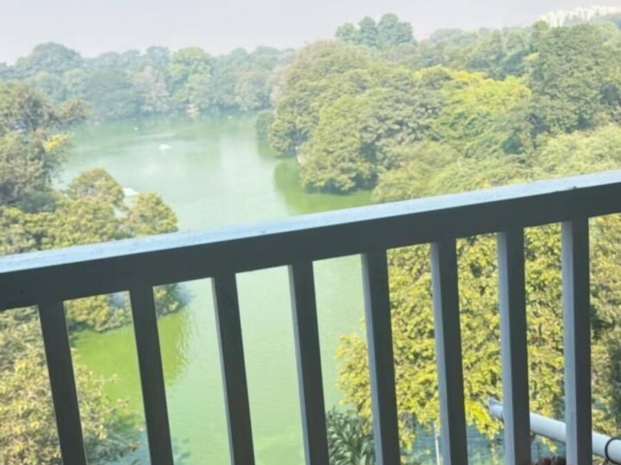 A balcony with a view of a river surrounded by greenery.