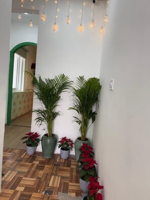 Exterior - Casa Inali (New Delhi)