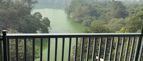 A balcony with a view of a river and dense greenery.