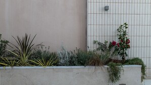 A concrete planter with various plants and flowers, a wall with a grid pattern, and a small square object on the wall. - Des Bains Chambre & Suite (Acireale)