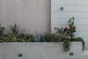 Un vaso in cemento con diverse piante e fiori, una parete con motivo a griglia e un piccolo oggetto quadrato appoggiato al muro.