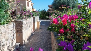 Un étroit sentier de pierres mène à un bâtiment doté d’un toit en tuiles, entouré d’une végétation luxuriante et de magnifiques fleurs de bougainvillier aux couleurs vives.