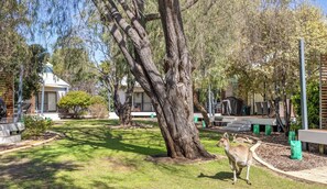 Property grounds - Beach Shack at Footprints for perfect holiday (Preston Beach)