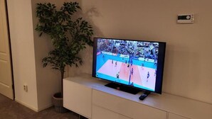 En tv-apparat står på en vit tv-bänk, en krukväxt står bredvid och en termostat sitter på väggen.