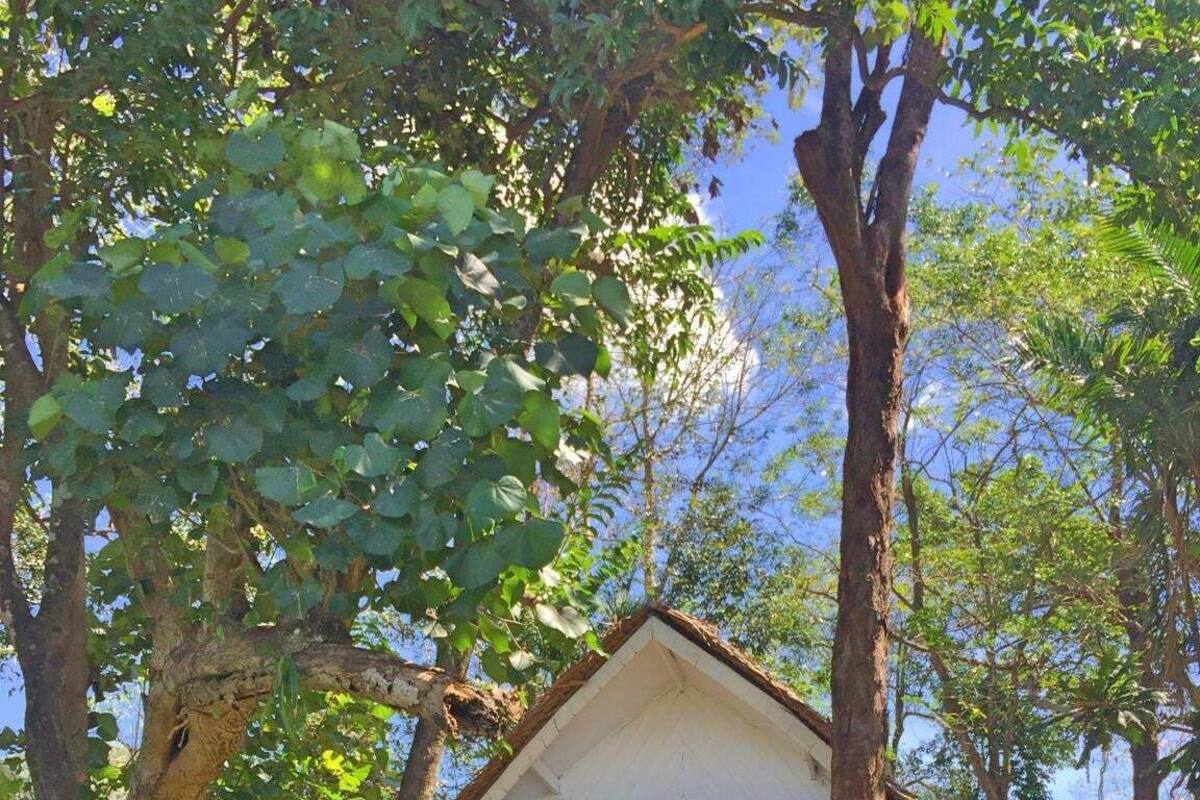 Superior Cottage, Sea View | WiFi (free)