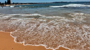 A beach with waves gently lapping at the shore, a clear sky, and a distant shoreline with buildings and trees. - *New Collaroy 3 B/R Northern Beaches Spacious & Renovated Beach Getaway Collaroy (Collaroy)