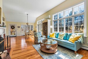 Televisión, chimenea y reproductor de DVD 