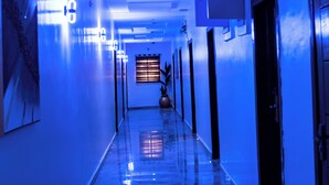 A hallway with a blue hue, featuring a polished floor, doors, and a potted plant. - Nice-mason Serene and Suites (Benin City)