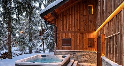 Modern chalet in Courchevel La Tania with sauna and parking