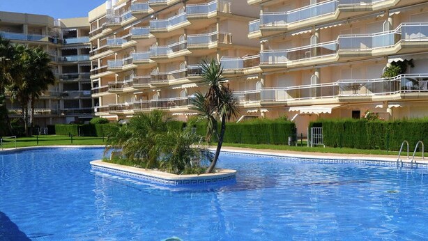Una piscina con bordo piastrellato, circondata da un'area verde con palme e un siepe.